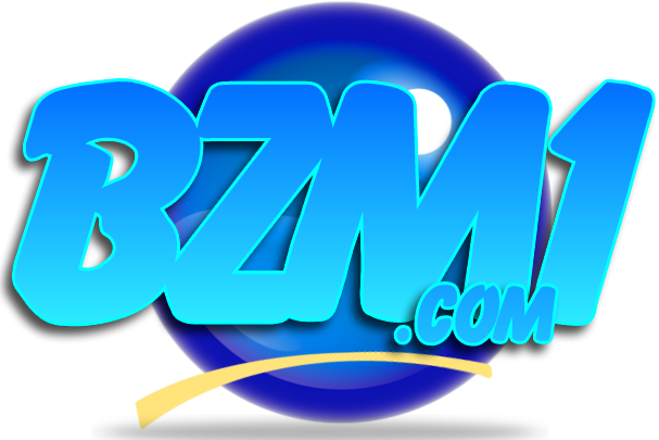 Logo BZM Servicios Informáticos